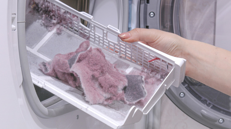 Hand removing lint from a dryer compartment