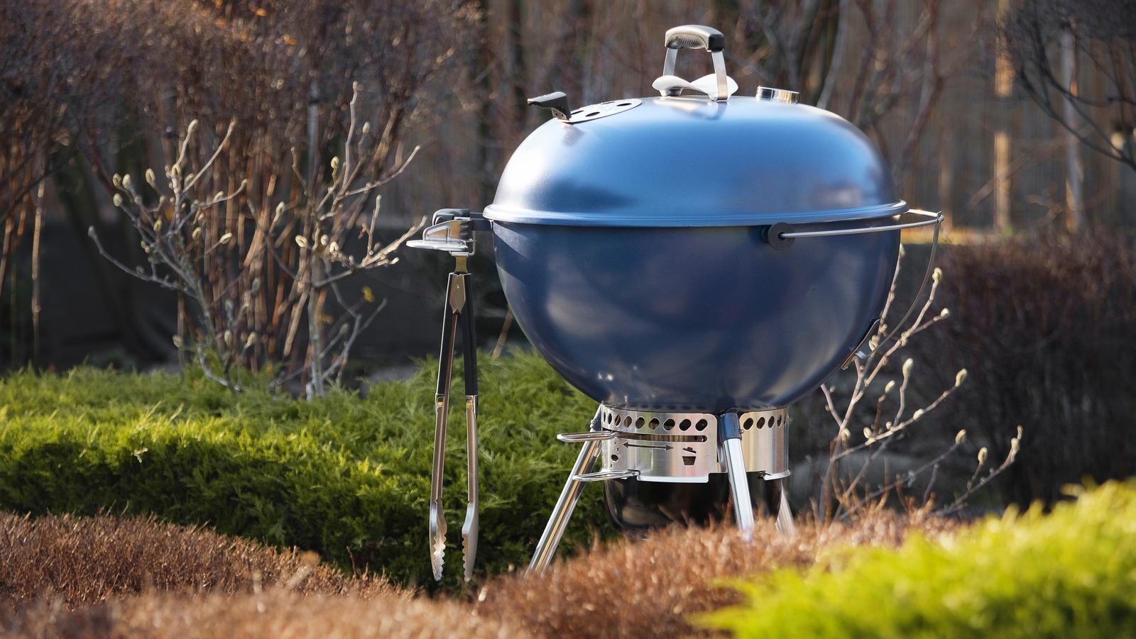 The Unexpected Inspiration Behind er's Grill Design