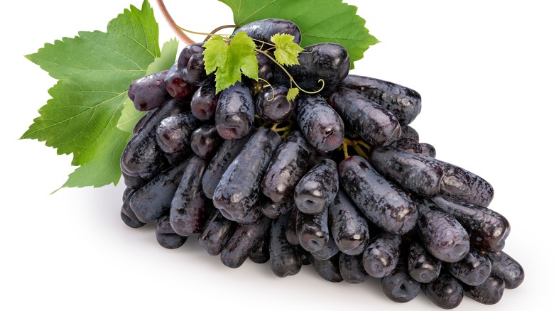 fresh, black Moon Drop grapes