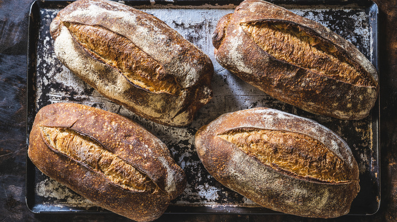 Four loaves of homemade sourdough bread