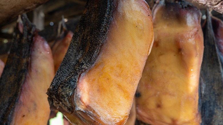 fermented shark chunks hanging to dry