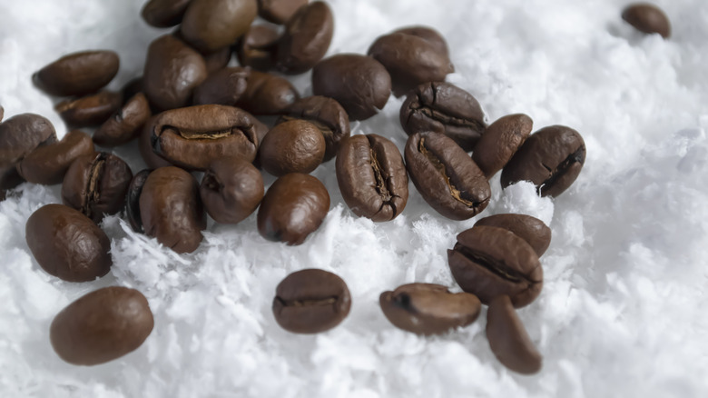 coffee beans scattered in snow