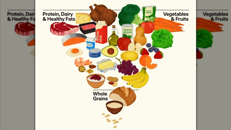 the new food pyramid