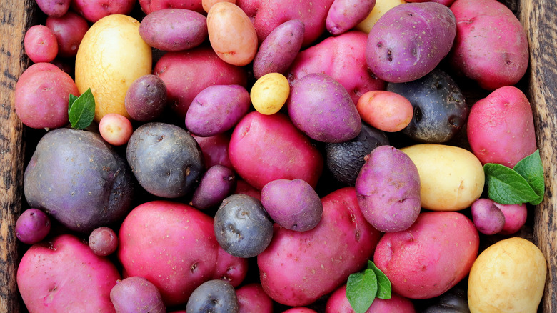 Assorted potatoes 