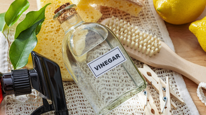 a clear glass bottle full of vinegar alongs with other cleaning supplies like a spray bottle, brush, and sponges