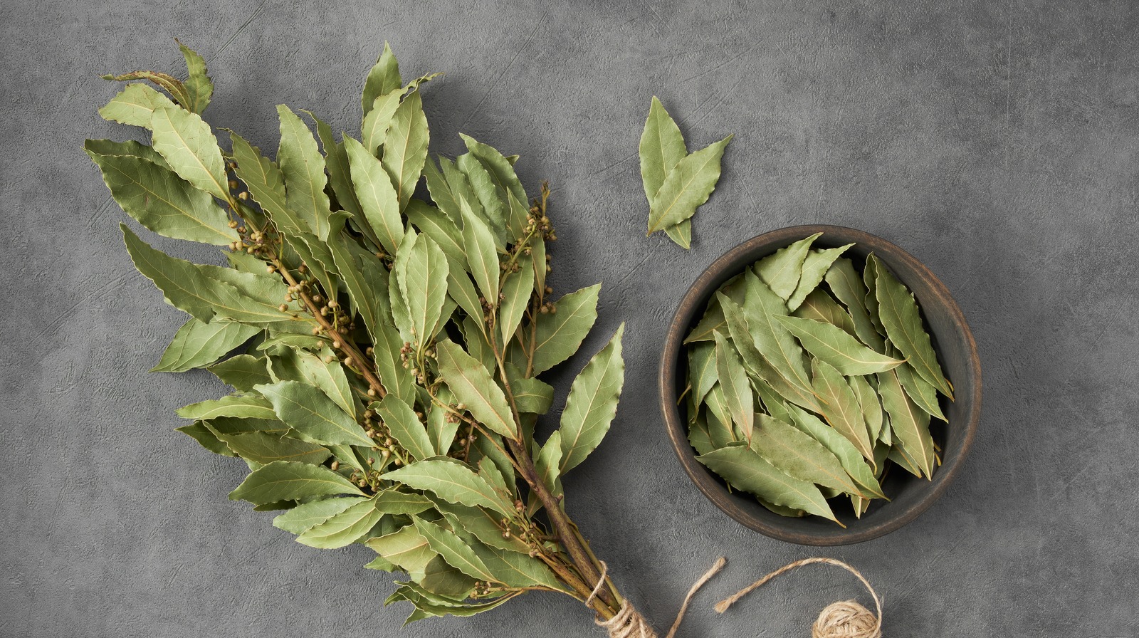 The Vital Step To Remember When Drying Fresh Herbs In Your Air Fryer