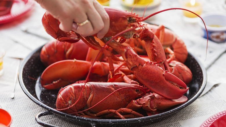 Person grabbing lobster from tray at a restaurant table