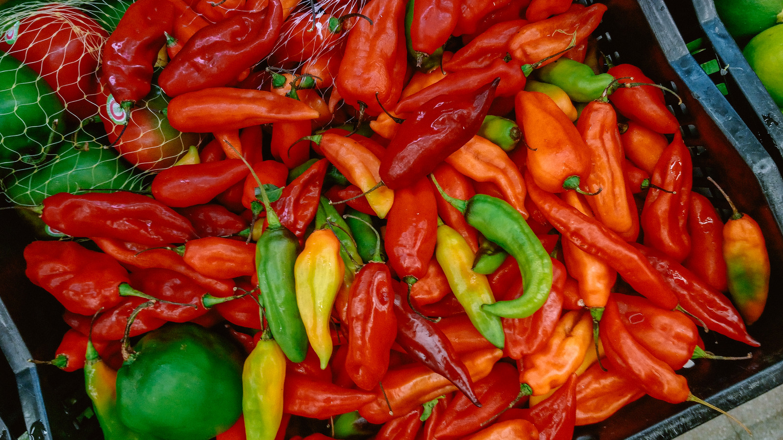 The World's Most Expensive Pepper Is Native To Peru - Here's What Makes It Special - Tasting Table