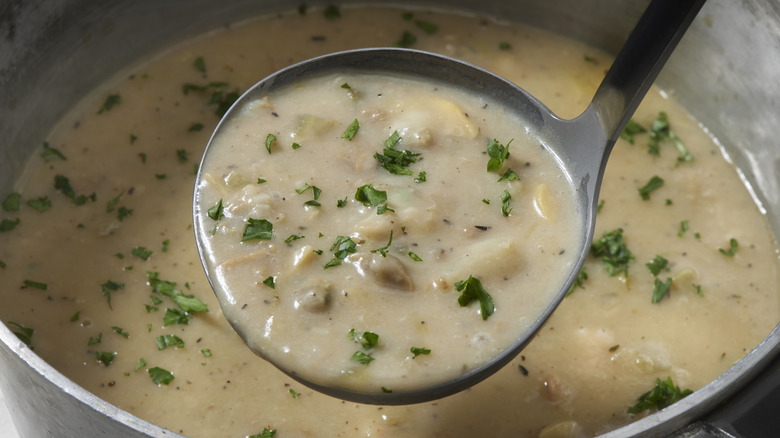 A ladle over a pot of New England clam chowder