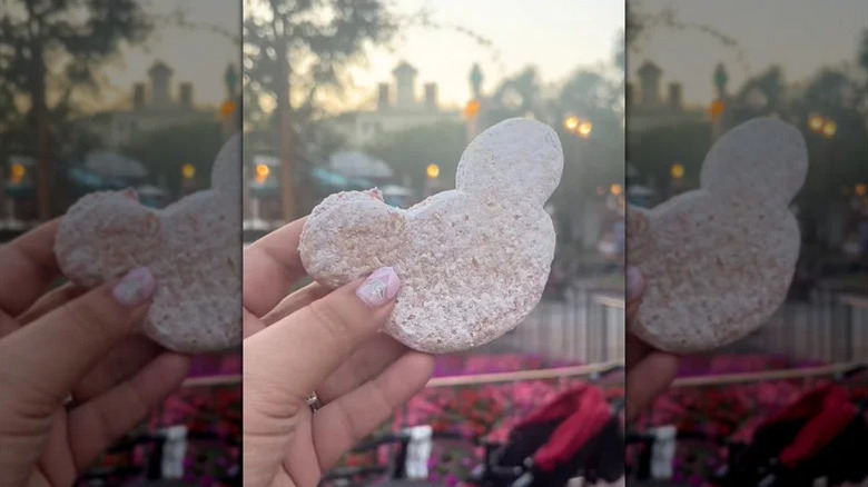 Hand holding a Mickey-shaped beignet