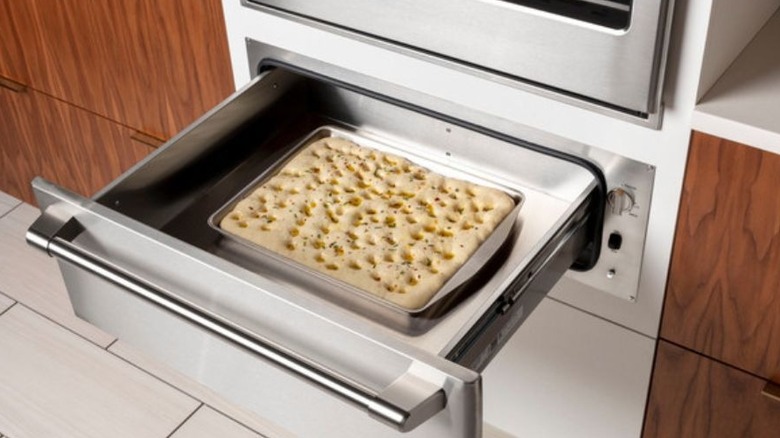 An opened warming drawer holding focaccia proofing.