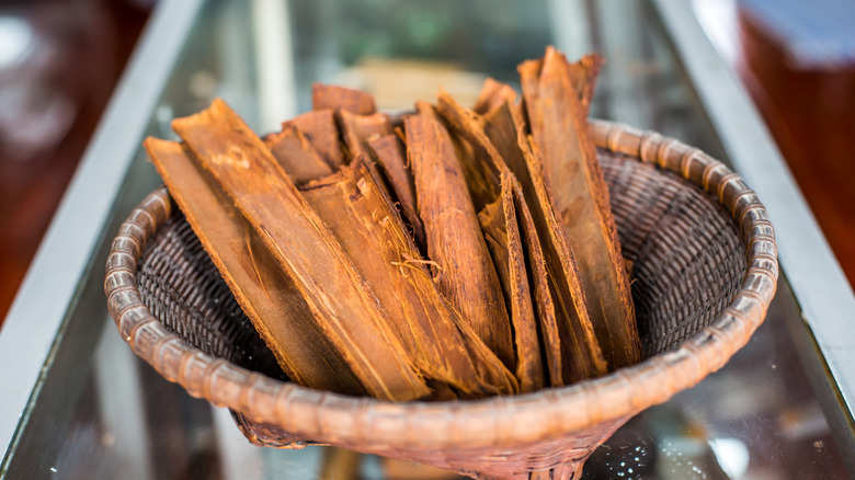 Freshly harvested cinnamon from a tree