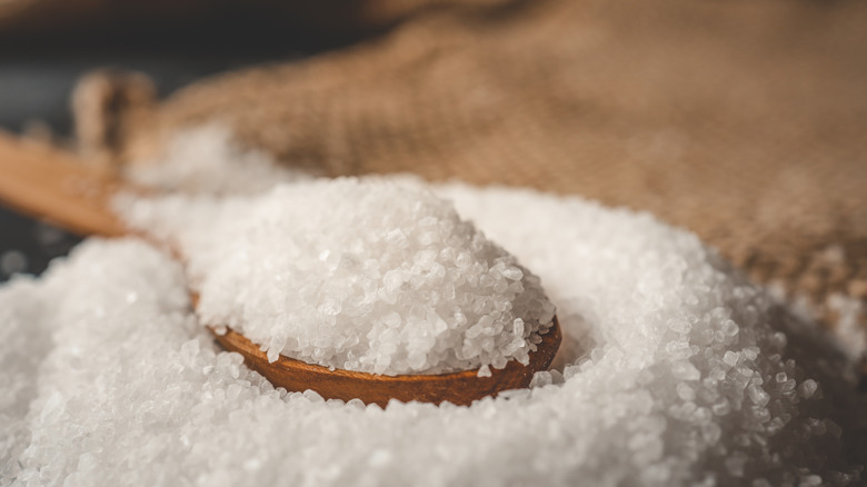 Bowl of salt with a wooden spoon