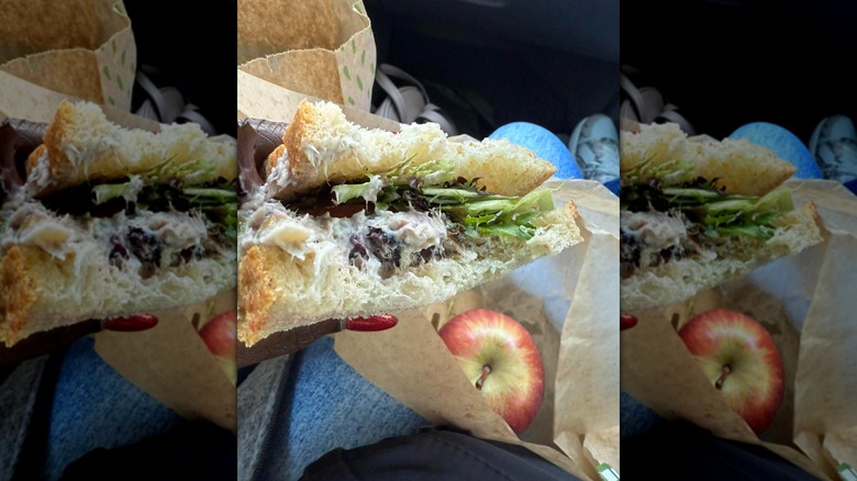 Hand holding Panera Cranberry Walnut Chicken Salad Sandwich over paper bag with apple inside