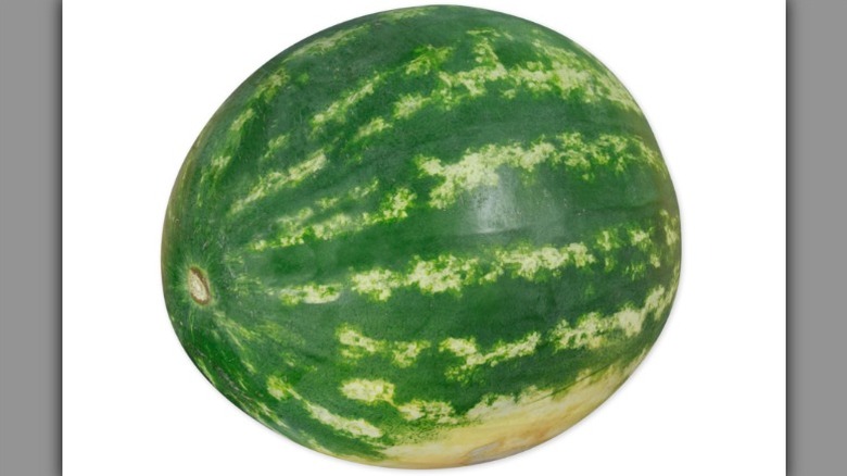 Trader Joe's watermelon on white background