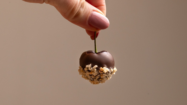 Hand holding chocolate cherry by stem