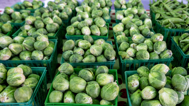 A bunch of baskets of brussels sprouts