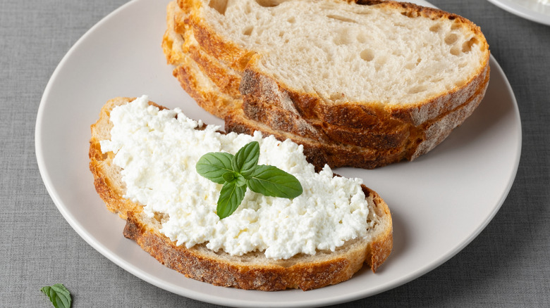 Bread with cottage cheese and mint on grey table