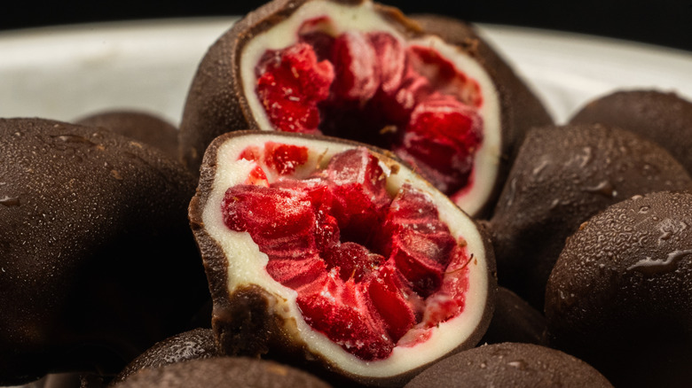 Close-up of frozen chocolate-covered raspberries