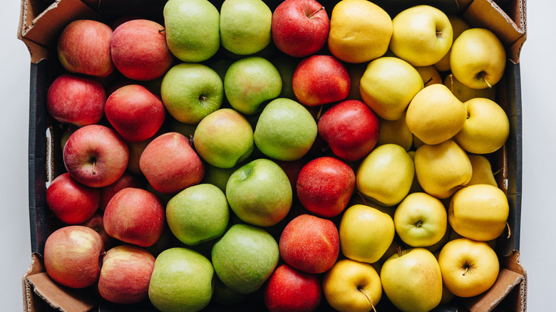 Red, green, and yellow apples in a carboard bin