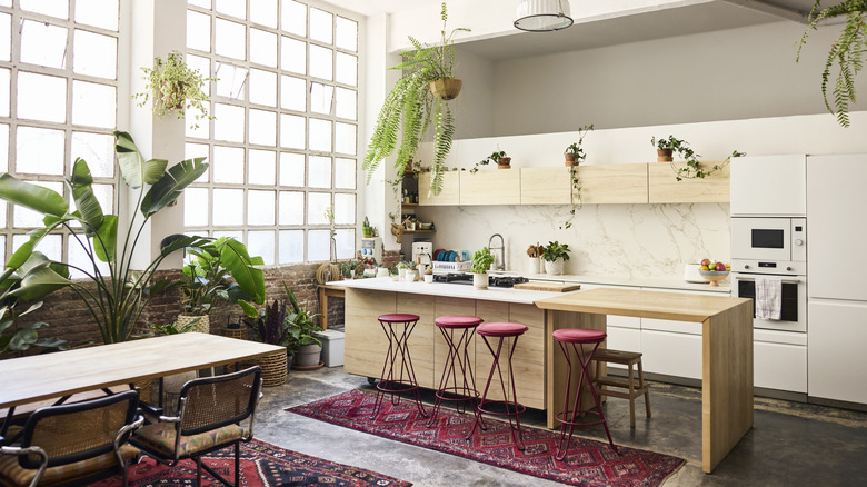 Airy kitchen filled with plants