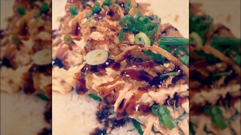 Meat, veg, and sauce fillings for burrito