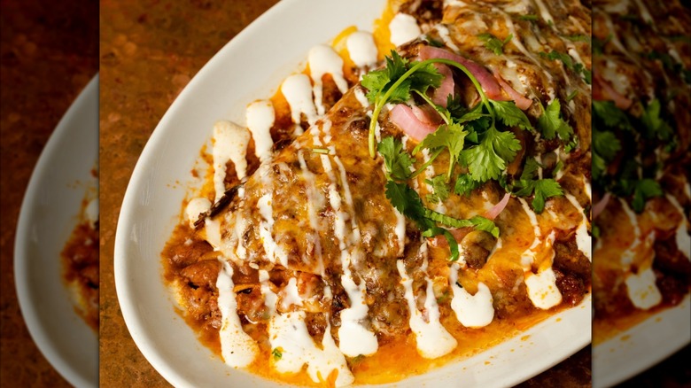 Chicken tikka burrito on a plate