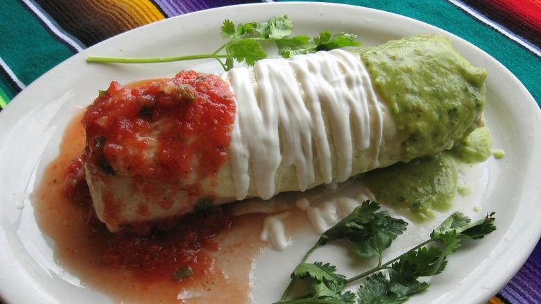 Burrito with salsa, green chile, and sour cream