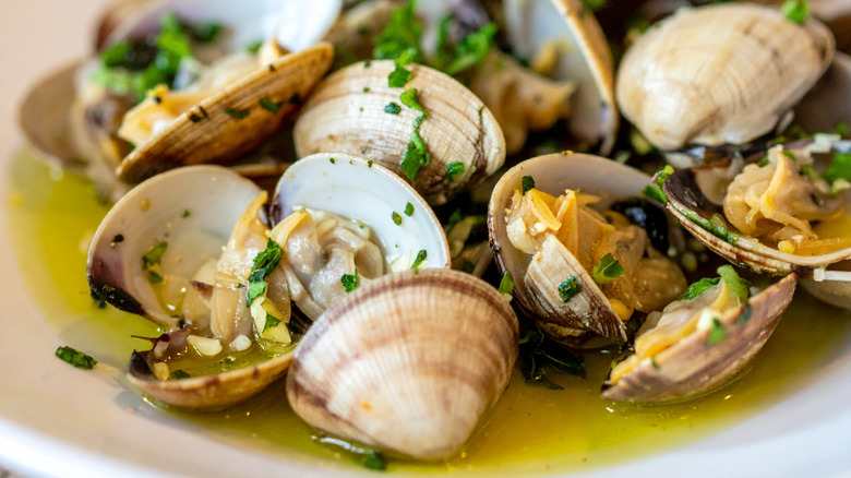 Steamed clams in butter and wine