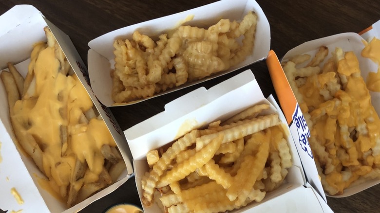 Variety of fast food cheese fries