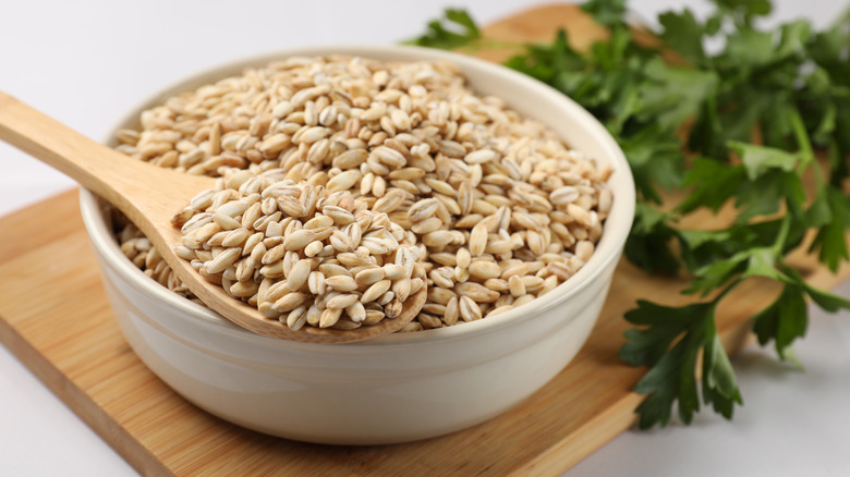 Dried pearl barley in a white bowl with a wooden spoon