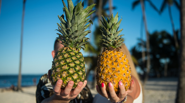 two people holding pineapples out toward the camera on a Hawaiian beach