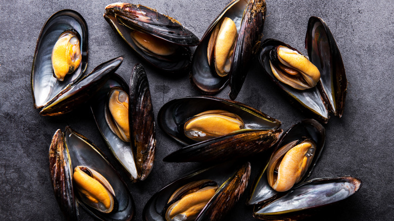 Mussels on grey surface