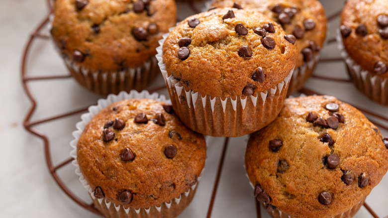 chocolate chip muffins