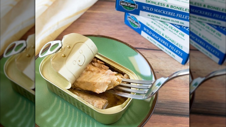 A fork lifting a filet from an open tin of wild-caught mackerel from Wild Planet