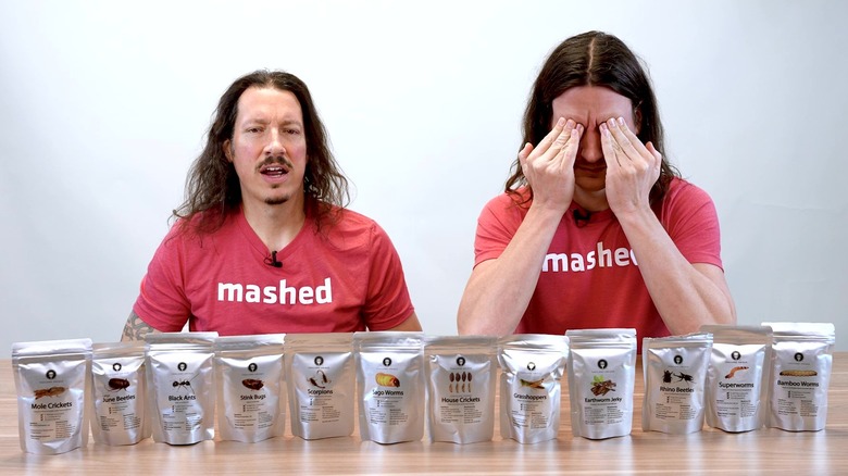 The Mashed Bros bugs lineup