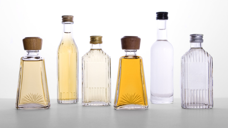 Six bottles of different styles of tequila on a white background