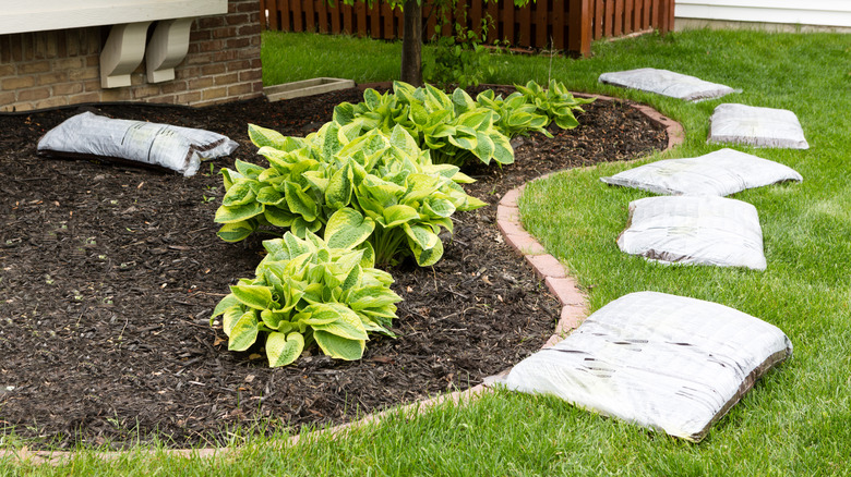 Plastic soil bags laid out on lawn that could be used as planting bags