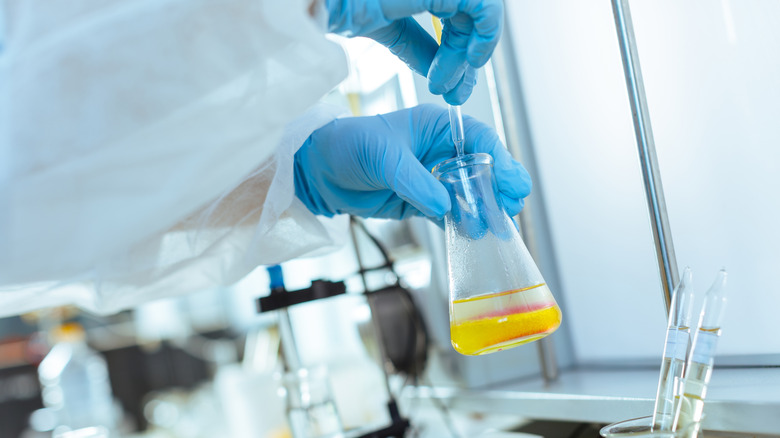 A scientist holds a flask of golden liquid separated from clear liquid