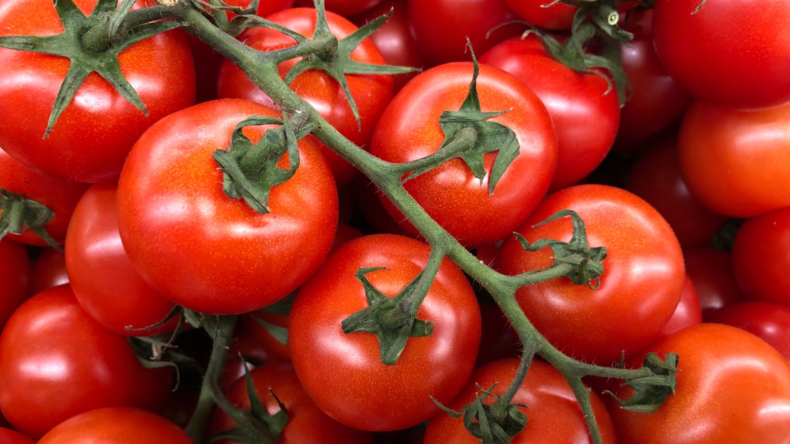 This Country Produces The Most Tomatoes Worldwide