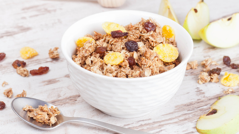 apple raisin cereal in white bowl