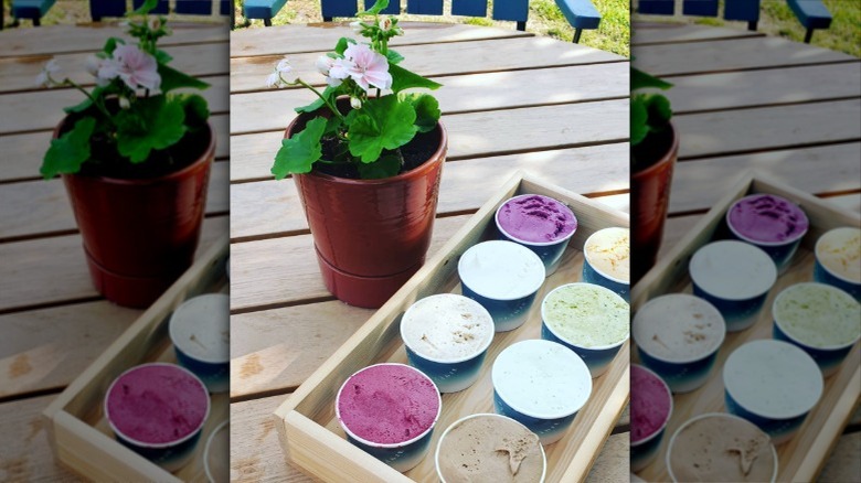 selection of different flavors of Frusen Glädjé ice cream