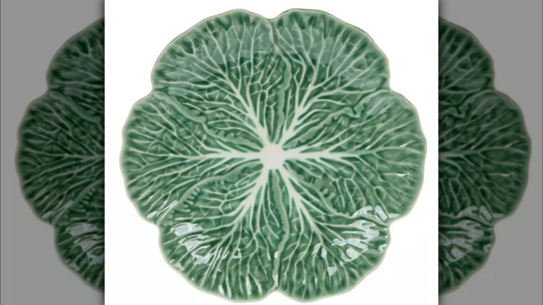 Cabbage plate on white surface