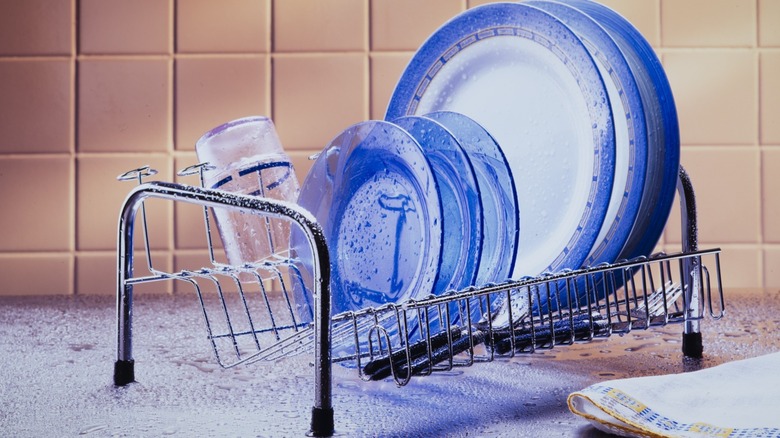 Wet dishes in dish rack