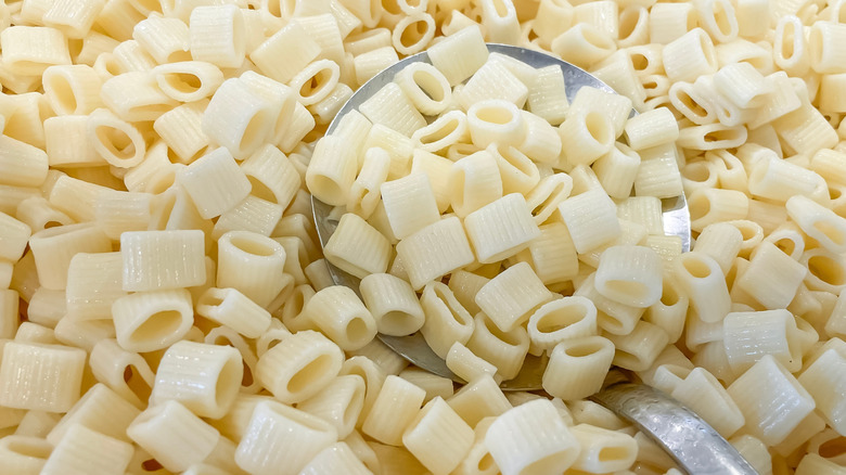 A spoon resting in a large pile of ditalini pasta