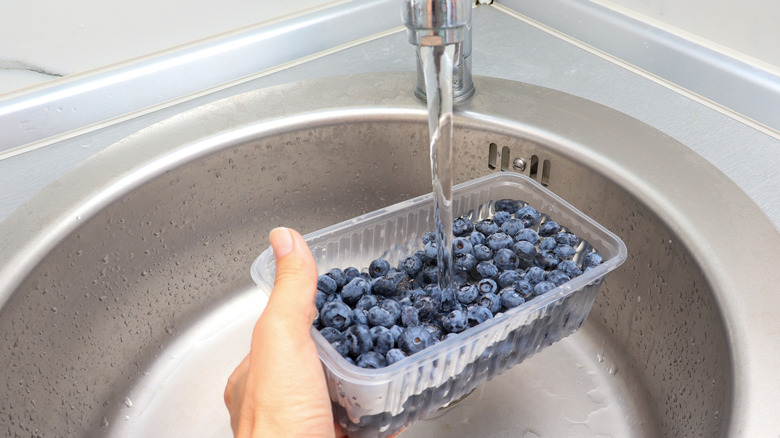 A hand holding a carton of blueberries under the running kitchen faucet to wash them