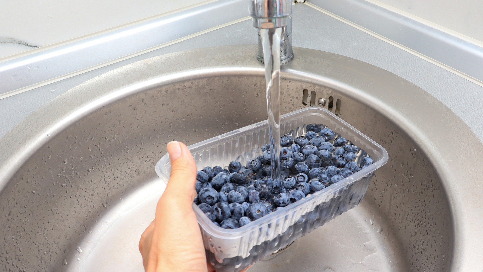 This Is Hands-Down The Best Type Of Vinegar To Clean Blueberries With - Tasting Table
