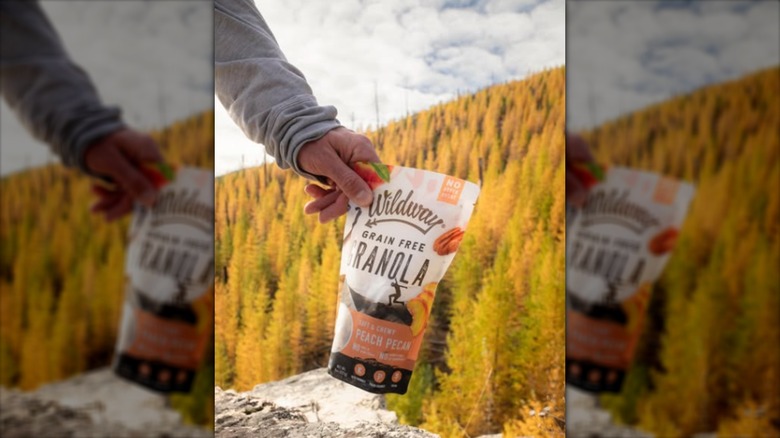 Someone holding a bag of Wildway Grain-free Granola against a forest backdrop