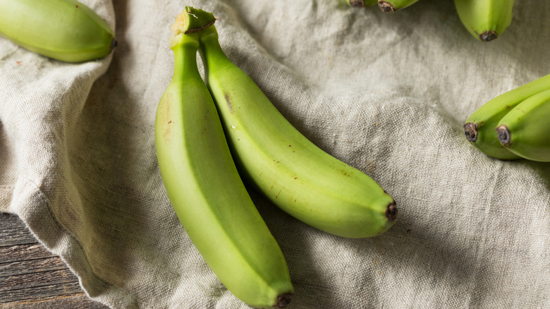 Pair of unripe green bananas