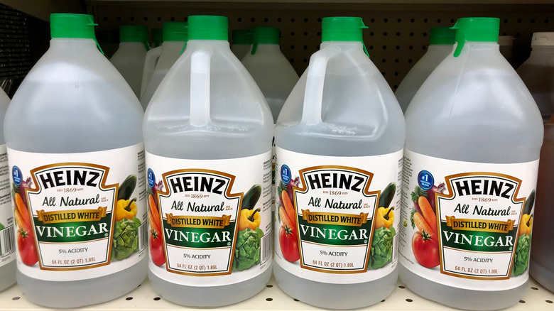 bottles of distilled white vinegar